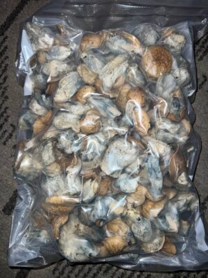 buy magic mushrooms online