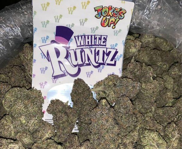 white runtz strain